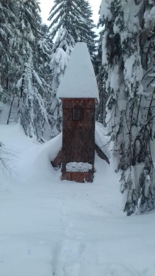 Fitzlhof Apartment Sankt Koloman Екстериор снимка